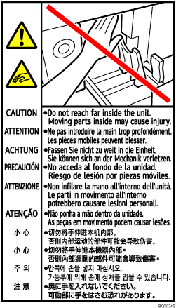 Ilustraci&oacute;n de la etiqueta
