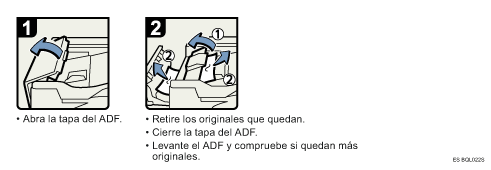 Ilustraci&oacute;n del procedimiento