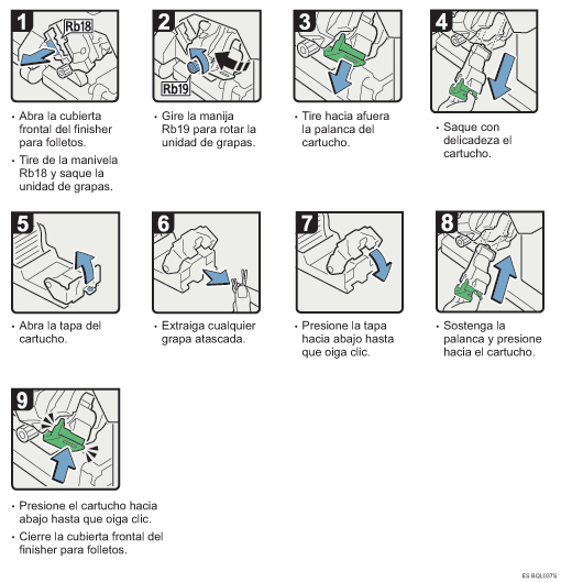 Ilustraci&oacute;n del procedimiento