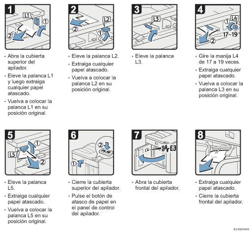 Ilustraci&oacute;n del procedimiento
