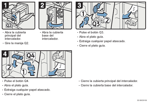Ilustraci&oacute;n del procedimiento