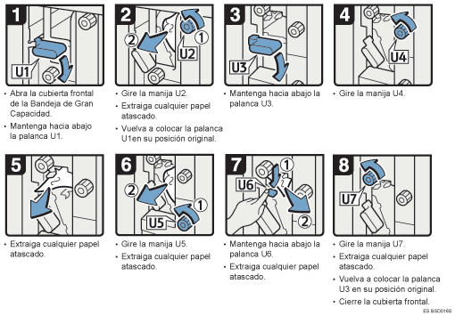 Ilustraci&oacute;n del procedimiento