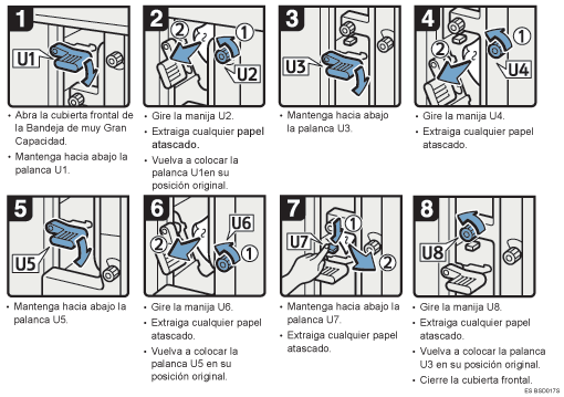Ilustraci&oacute;n del procedimiento
