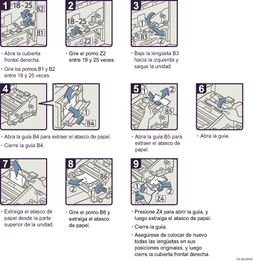 Ilustraci&oacute;n del procedimiento