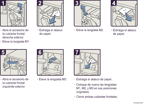Ilustraci&oacute;n del procedimiento