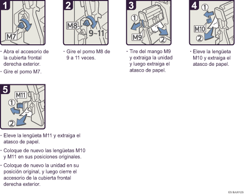 Ilustraci&oacute;n del procedimiento