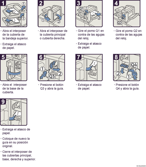 Ilustraci&oacute;n del procedimiento