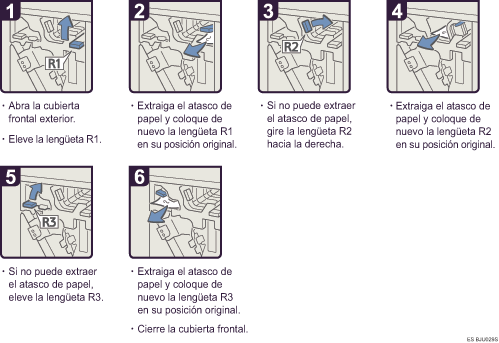 Ilustraci&oacute;n del procedimiento