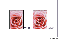 Abbildung der Einstellung der Bildqualitäten