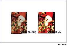 Abbildung der Einstellung der Bildqualitäten