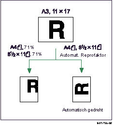 Die Abbildung zeigt die Funktion Reprofaktor