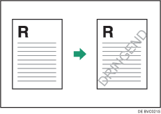 Abbildung Wasserzeichen