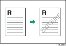 Abbildung Wasserzeichen