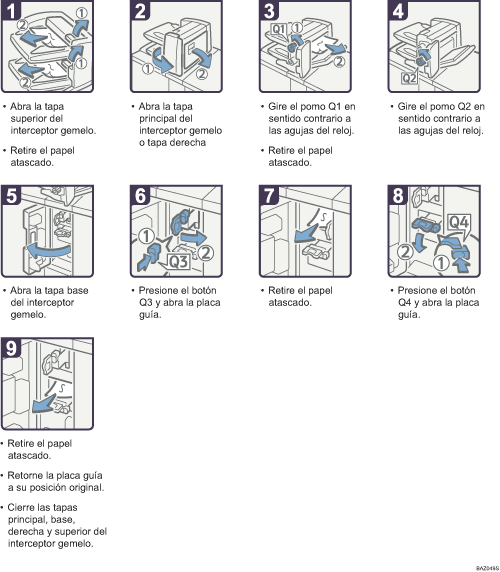 Ilustraci&oacute;n del procedimiento