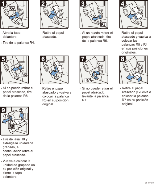 Ilustraci&oacute;n del procedimiento