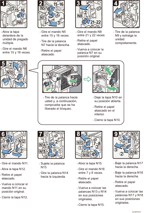 Ilustraci&oacute;n del procedimiento