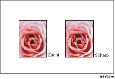 Voorbeeld van het aanpassen van de afbeeldingskwaliteit