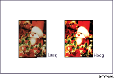 Voorbeeld van het aanpassen van de afbeeldingskwaliteit