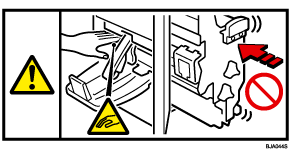 Illustrazione etichetta