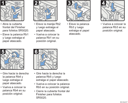 Ilustración del procedimiento