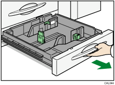 Ilustración de la Bandeja 2