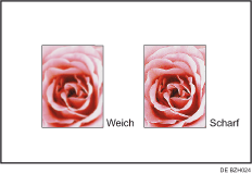 Abbildung der Einstellung der Bildqualit&auml;ten