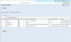 Darstellung der Ansicht im Webbrowser