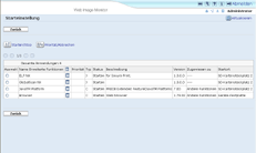 Darstellung der Ansicht im Webbrowser
