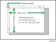 �aryo cam�n�n resmi