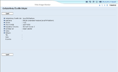 Web taray�c�s� ekran &ccedil;izimi