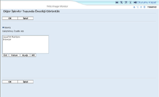 Web taray�c�s� ekran &ccedil;izimi