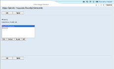 Web taray�c�s� ekran &ccedil;izimi