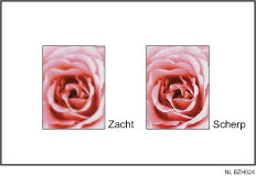 Voorbeeld van het aanpassen van de afbeeldingskwaliteit