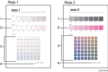 Ilustraci&oacute;n de la hoja de correcci&oacute;n de gradaci&oacute;n