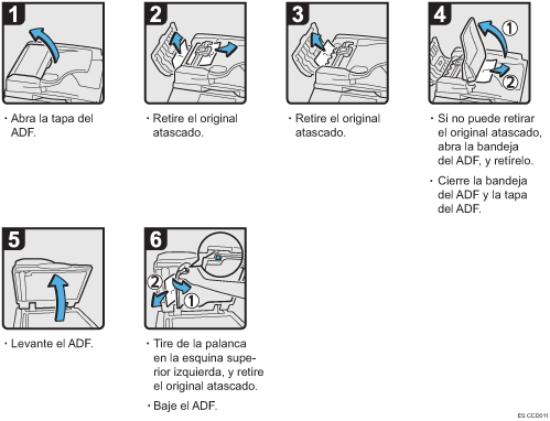 Ilustración del procedimiento