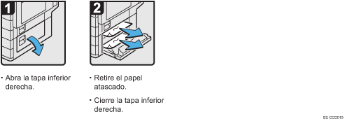 Ilustración del procedimiento