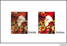 Kuva kuvan ominaisuuksien s&auml;&auml;d&ouml;st&auml;