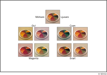 Bild av f&auml;rgjustering