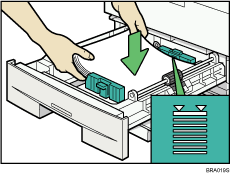 Illustrazione vassoio carta