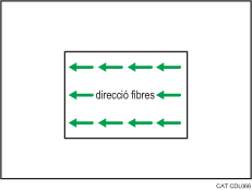 Il·lustració de les fibres del paper