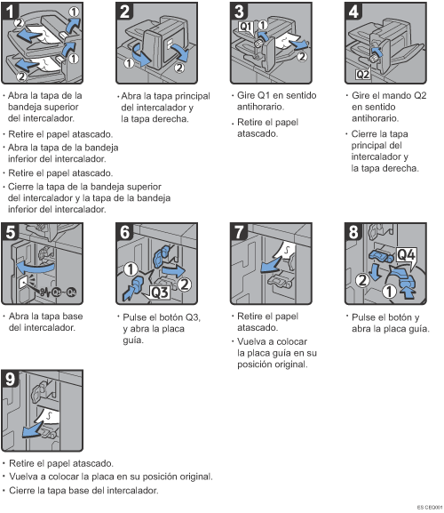 Ilustración del procedimiento
