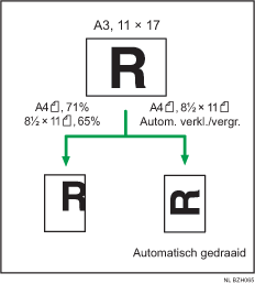 Voorbeelden van Automatisch Verkleinen/Vergroten