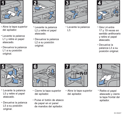 Ilustraci&oacute;n del procedimiento