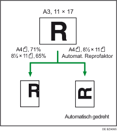 Abbildung der Funktion Automat. Reprofaktor