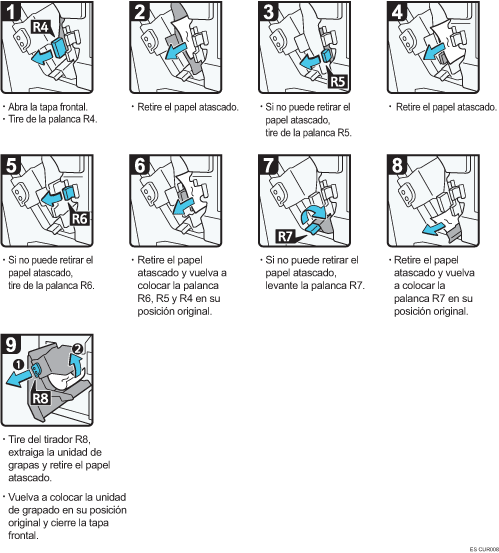Ilustración del procedimiento