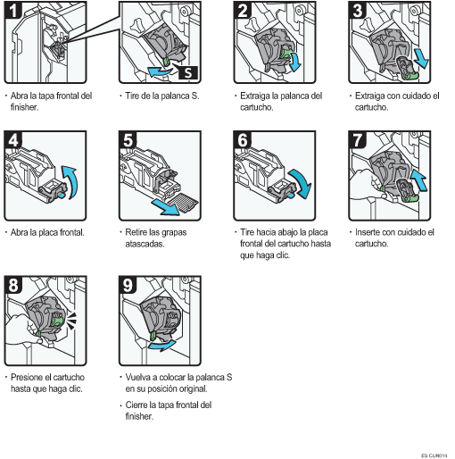 Ilustración del procedimiento