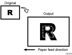 Illustration of image scaling error