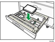 Illustrazione vassoio carta pretagliata