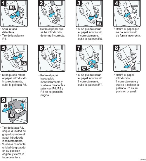 Ilustración del procedimiento