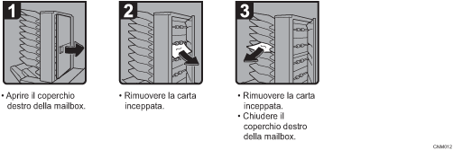 Illustrazione della procedura operativa